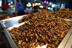 65bbfeb2d88a86001ed933be Cricketsadobestock 304377971 65bbfeb2d88a86001ed933be Cricketsadobestock 304377971