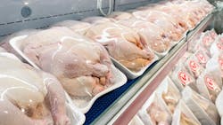 65c144217640e9001ea346a6 Shutterstock 2285812491 65c144217640e9001ea346a6 Shutterstock 2285812491