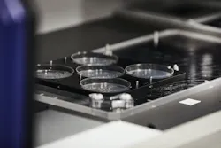 Perfect Day “teaches” microflora - safe, commonly used microorganisms that have been used to make food and enzymes for decades - to make whey protein. The resulting protein powder is analyzed to ensure it’s consistent, efficient, and safe. Perfect Day “teaches” microflora - safe, commonly used microorganisms that have been used to make food and enzymes for decades - to make whey protein. The resulting protein powder is analyzed to ensure it’s consistent, efficient, and safe.