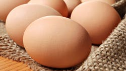 65c64ccb17b3c7001e8e158e Shutterstock 61830226 65c64ccb17b3c7001e8e158e Shutterstock 61830226