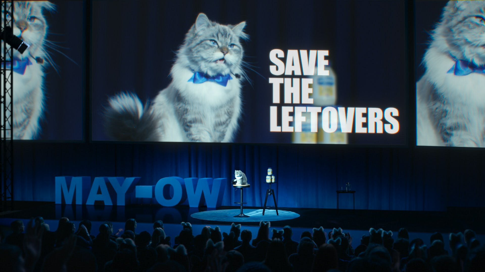 Screen shot of moment in Hellman's Mayo Cat commercial during Super Bowl LVIII this year.