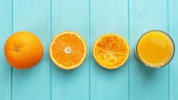 65cd328344f57e001ef95c0e Shutterstock 499033510 65cd328344f57e001ef95c0e Shutterstock 499033510