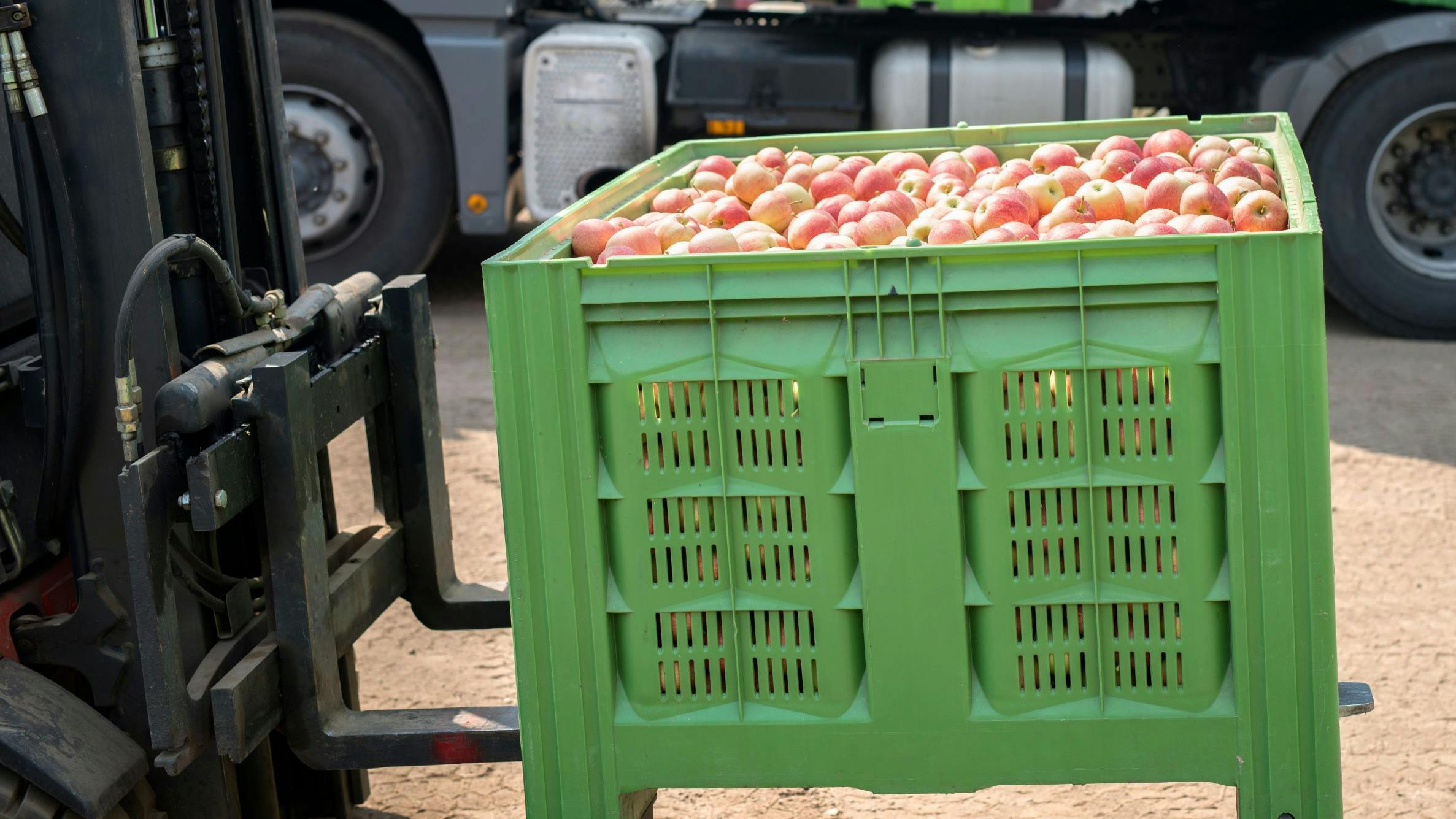 65ce3506c9f260001e3d92db Shutterstock 1191733957