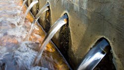 65de0420c54655001eac62bb Shutterstock 131796458 65de0420c54655001eac62bb Shutterstock 131796458