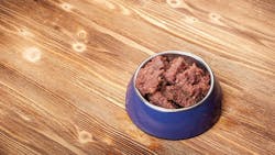 65e0b8e8014386001ea0a84c Shutterstock 1909885366 65e0b8e8014386001ea0a84c Shutterstock 1909885366