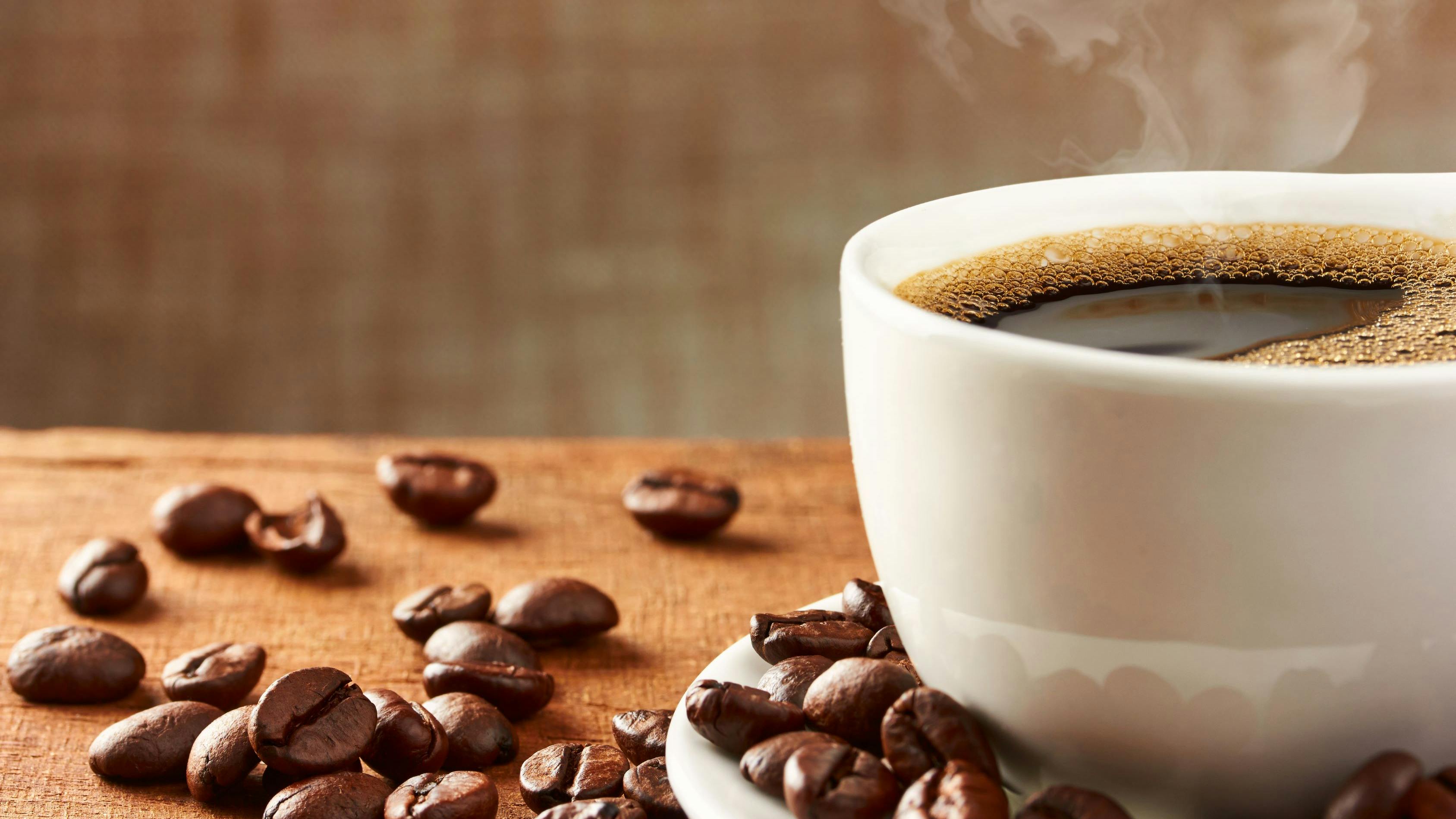 65e218cc595b87002074d2fc Shutterstock 261745823