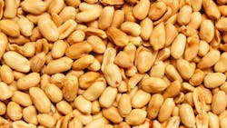 65e2375c11c948001e9344cb Shutterstock 450390841 65e2375c11c948001e9344cb Shutterstock 450390841