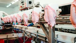 Automation has very much been the answer to the meat and poultry industry&rsquo;s continued struggle to attract and hire enough employees to work in its plants.