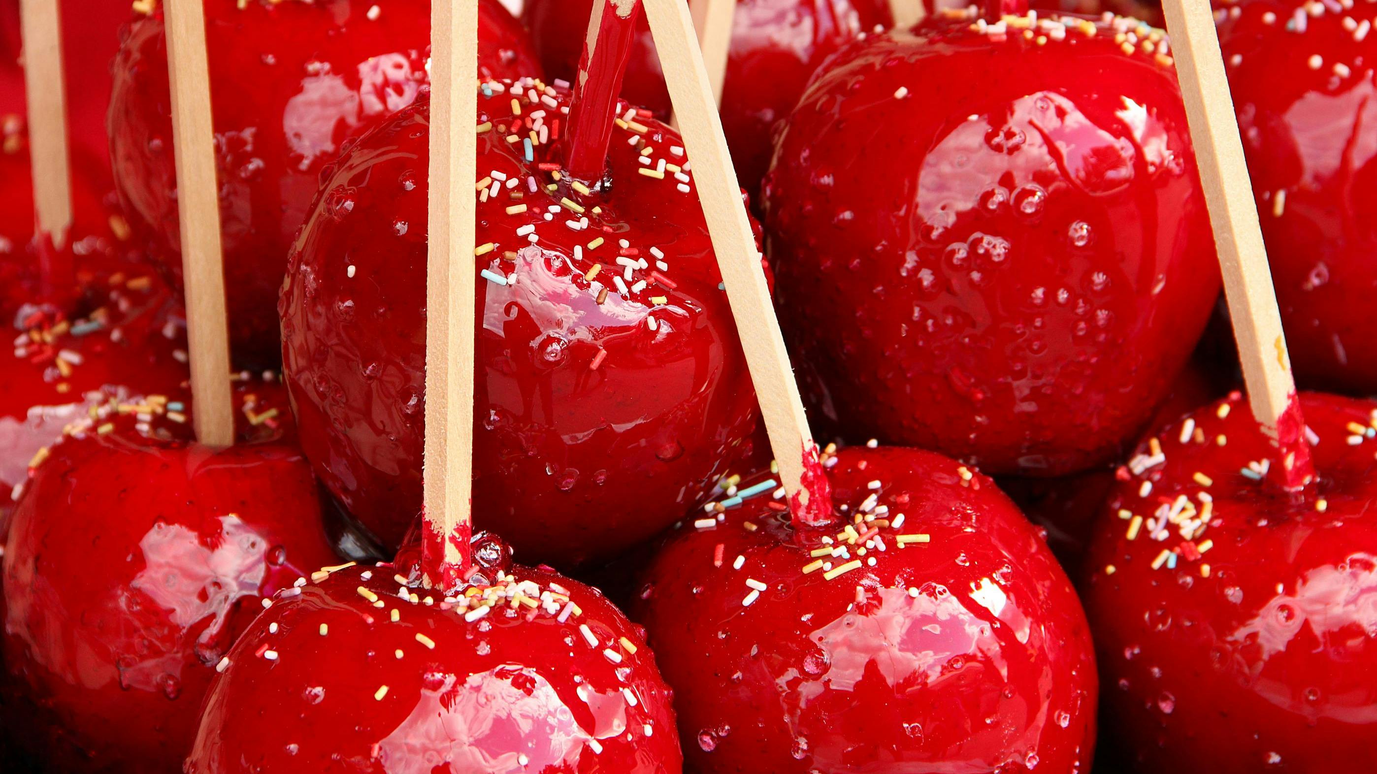 65ef3c1f5cec35001ef3e17f Shutterstock 281879486