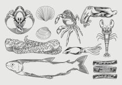 65f22ec047a0cd001ec6d472 Fishadobestock 485985608 65f22ec047a0cd001ec6d472 Fishadobestock 485985608