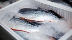 65f31c7b9a3328001ec51dad Shutterstock 144122521 65f31c7b9a3328001ec51dad Shutterstock 144122521