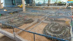 65f45b21203731001e6f5f17 Shutterstock 581708107 65f45b21203731001e6f5f17 Shutterstock 581708107