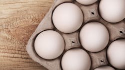 65f4756215b6f0001db54e61 Shutterstock 254982229 65f4756215b6f0001db54e61 Shutterstock 254982229