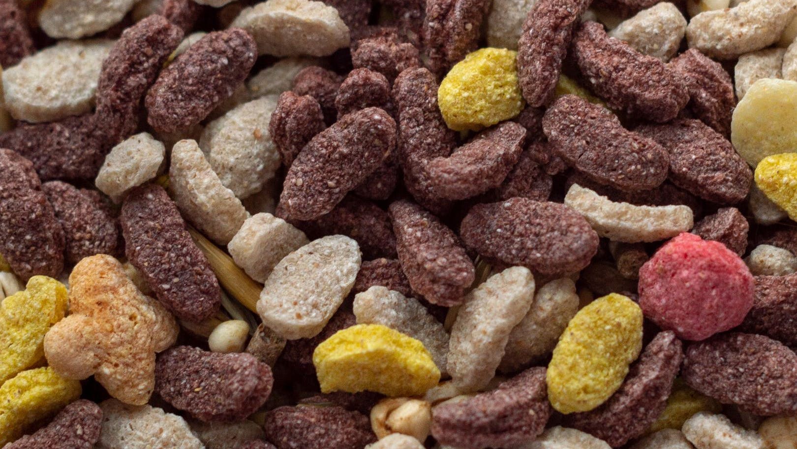 65f864f06f11ed001e9925c6 Shutterstock 1326670970