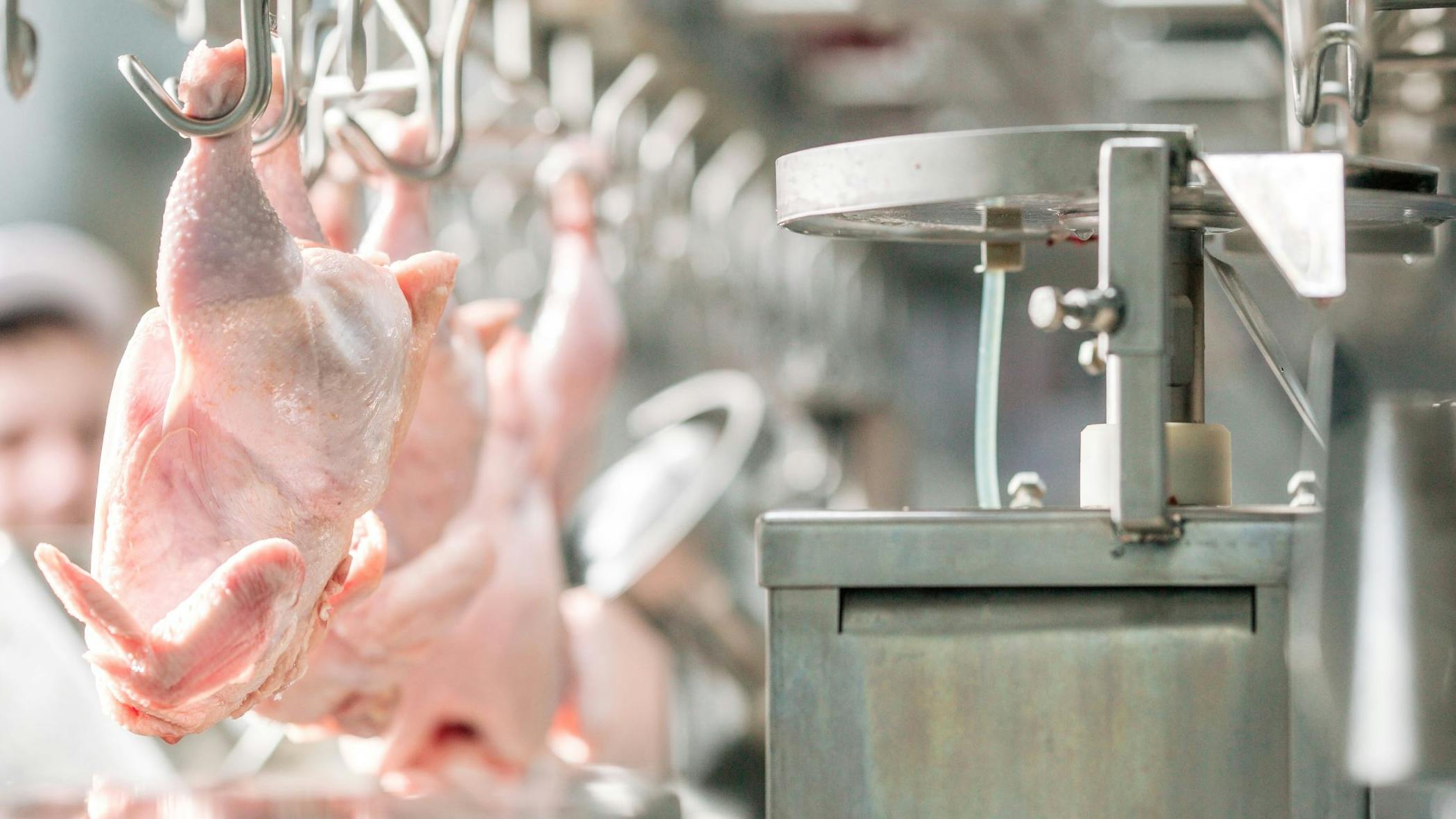 65fb2f9019da38001d998d5a Shutterstock 1390194659