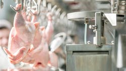 65fb2f9019da38001d998d5a Shutterstock 1390194659 65fb2f9019da38001d998d5a Shutterstock 1390194659