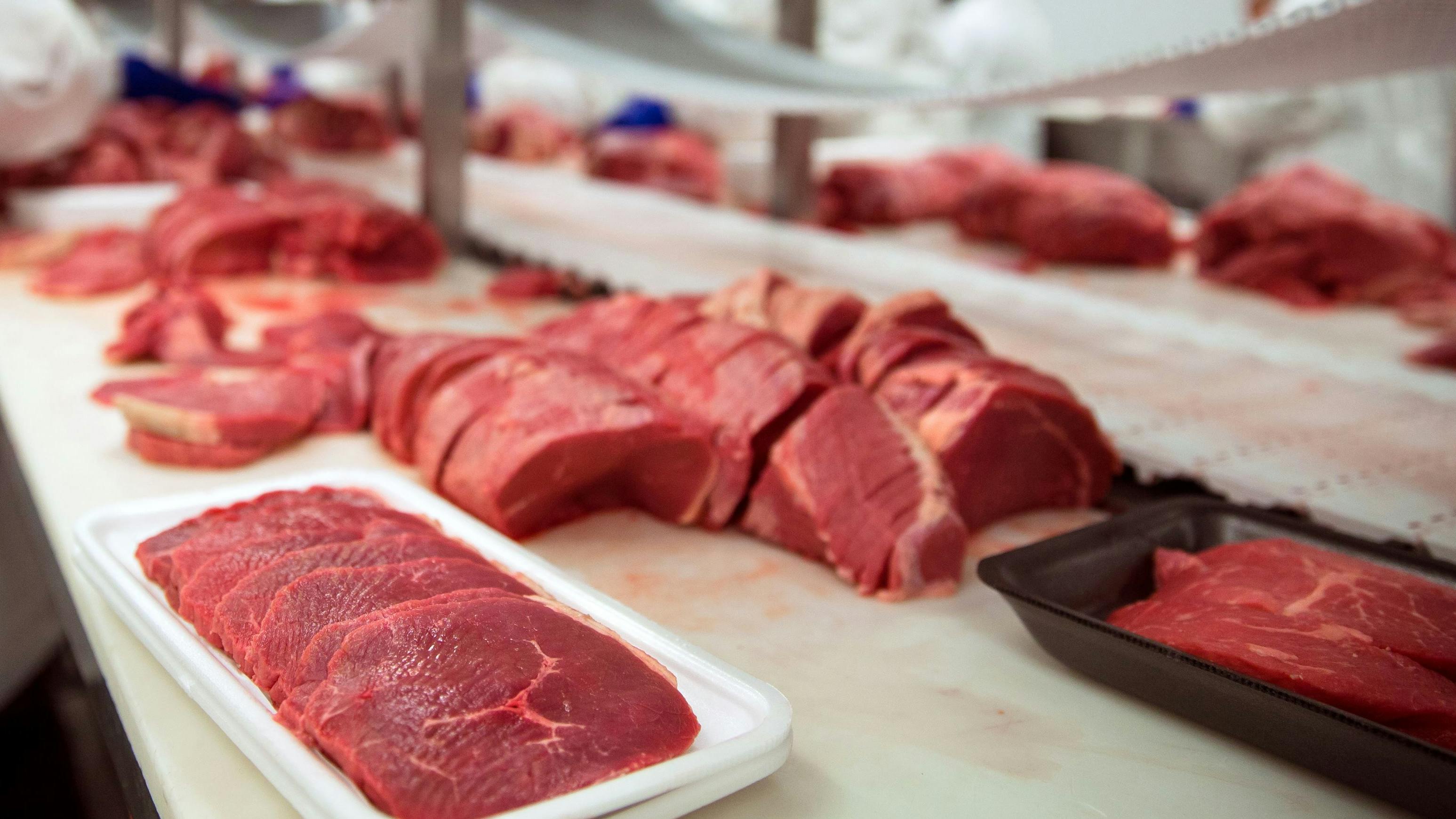 65fda9cf08c4f9001f4309bc Shutterstock 297186266