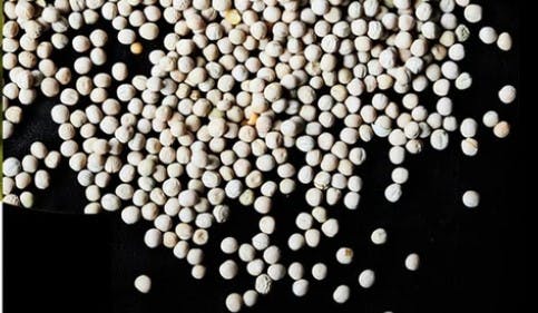 660464e205054c001e22cf8d Purispeas