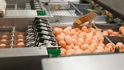 660d8403759cf5001edf6662 Shutterstock 335206412 660d8403759cf5001edf6662 Shutterstock 335206412