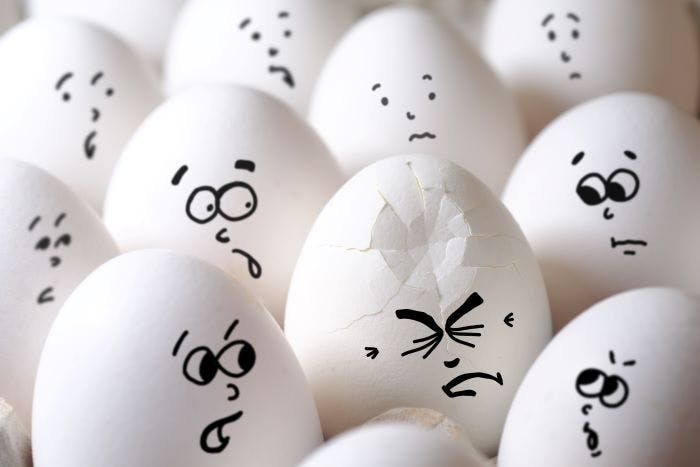 660f2d9637a3bb001ee180fc Eggsadobestock 187154879