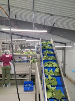 Harvesting Good, a for-profit subsidiary of a food bank, ships branded frozen broccoli directly to Hannaford Supermarkets but uses Sysco to reach foodservice customers.