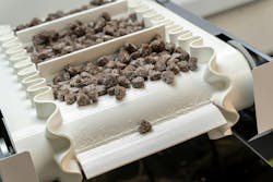 Motors and drives must be durable and dependable, but they also need to be capable of handling harsh sanitation requirements in many processing plants. Motors and drives must be durable and dependable, but they also need to be capable of handling harsh sanitation requirements in many processing plants.