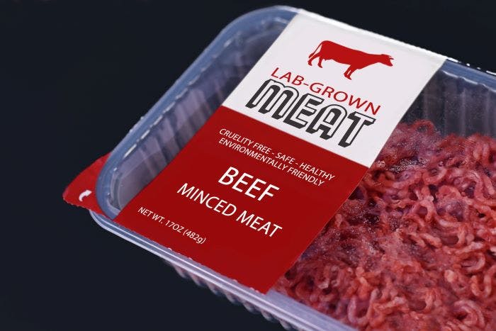 Suppliers React to Florida’s Ban on Cultured Meats