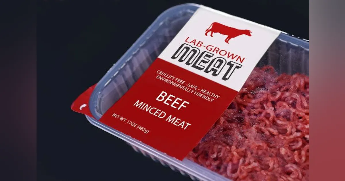 Suppliers React to Florida’s Ban on Cultured Meats