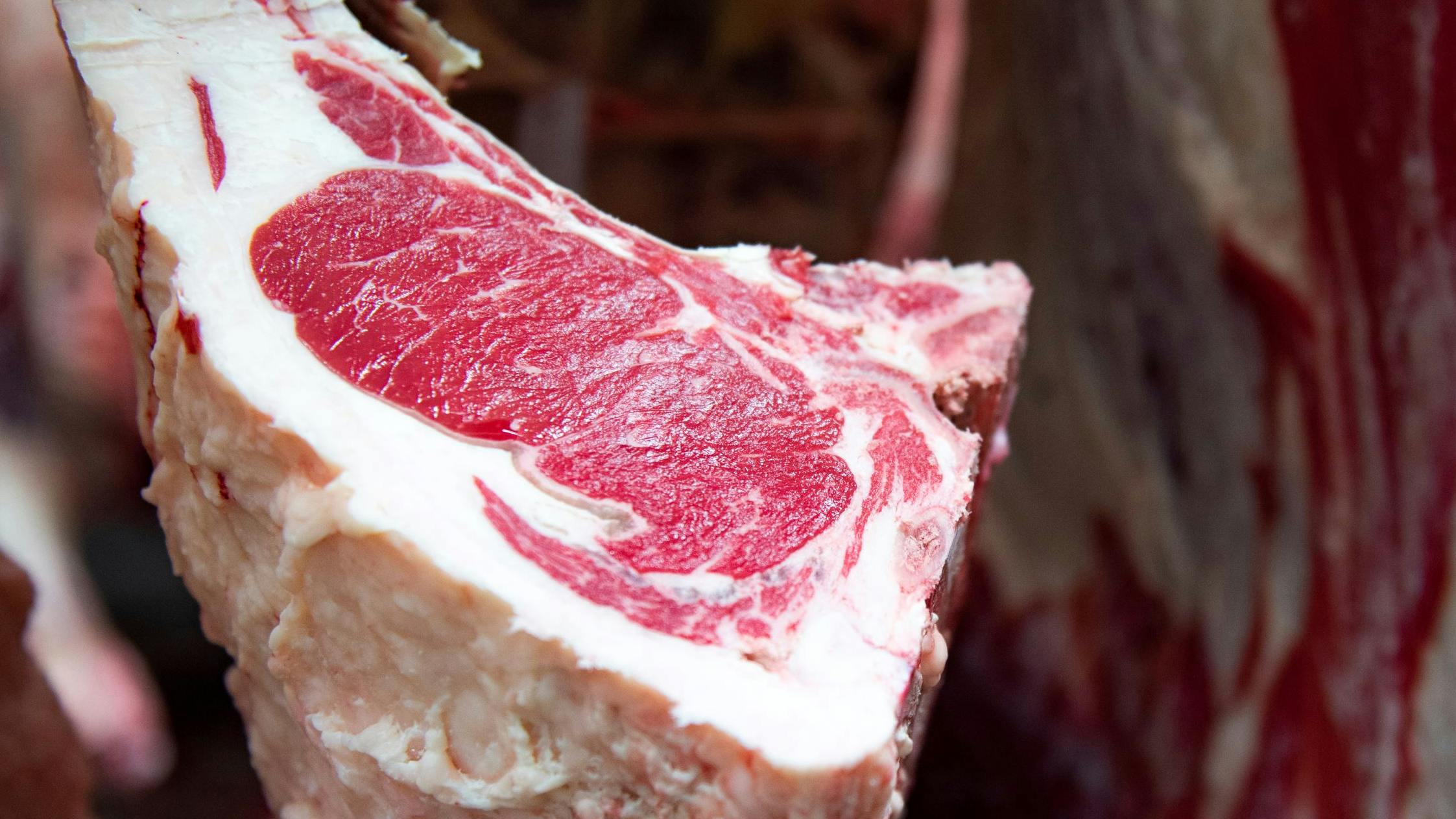 663bcba160fd1d0d1aafb39b Shutterstock 1856101318