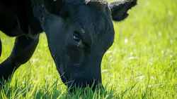 664cee8aa6596e47d3420707 Shutterstock 2057968028 664cee8aa6596e47d3420707 Shutterstock 2057968028