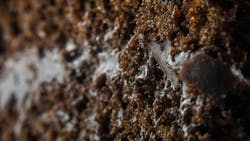 665df189a1291cf0e42bfa54 Shutterstock 564064720 665df189a1291cf0e42bfa54 Shutterstock 564064720