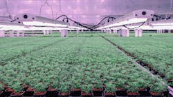 soli_ribbon_cutting_highlights27 soli_ribbon_cutting_highlights27