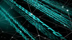 6671b76c7344264fb5f341b1 Shutterstock 2425782261 6671b76c7344264fb5f341b1 Shutterstock 2425782261