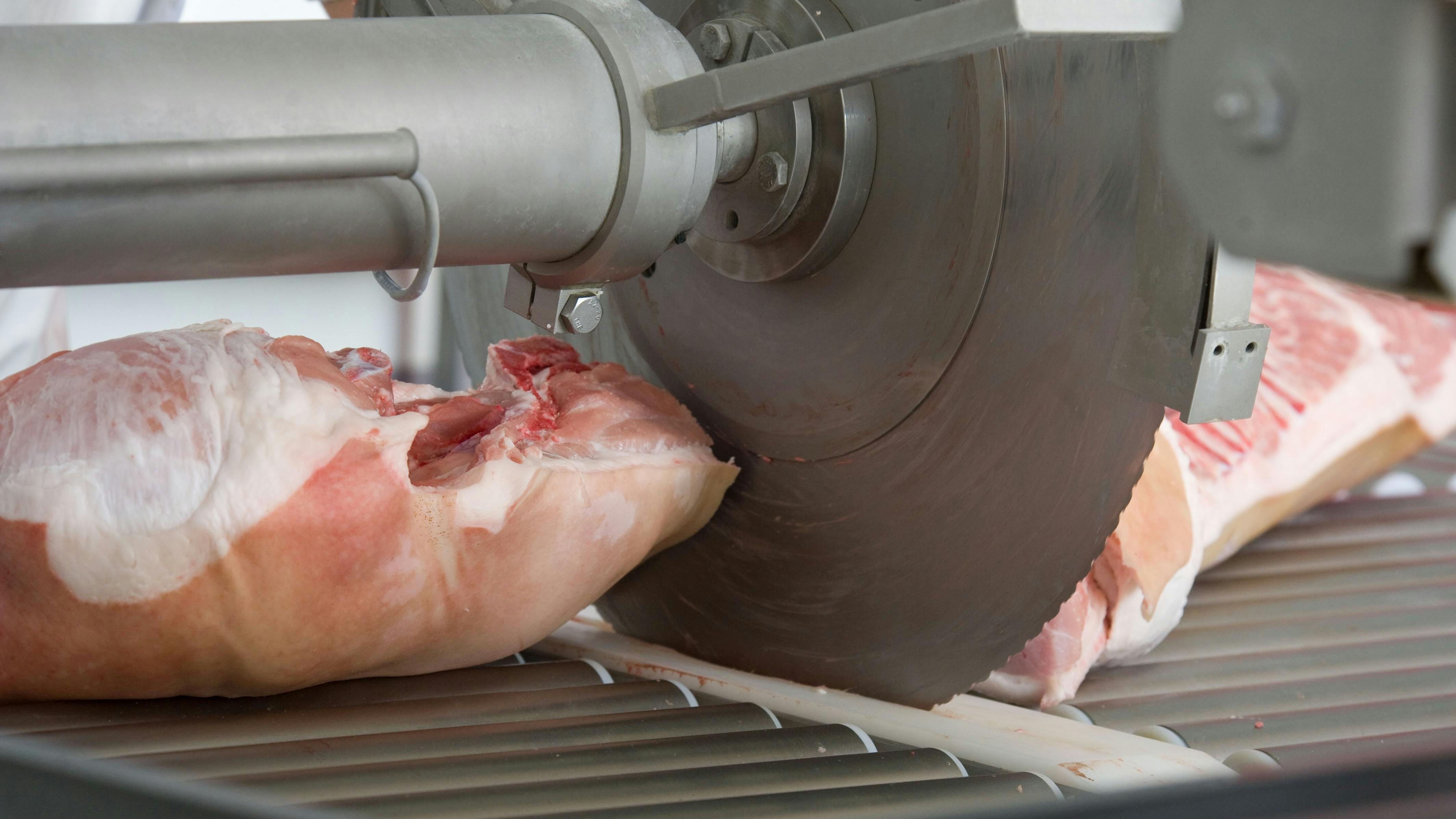 667450c60a1bf8433bf298ca Shutterstock 136510037