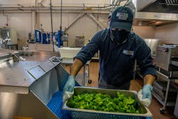 Harvesting Good used a steamer in the University of Maine's kitchen to taste-test which varieties of broccoli to use. Harvesting Good used a steamer in the University of Maine's kitchen to taste-test which varieties of broccoli to use.