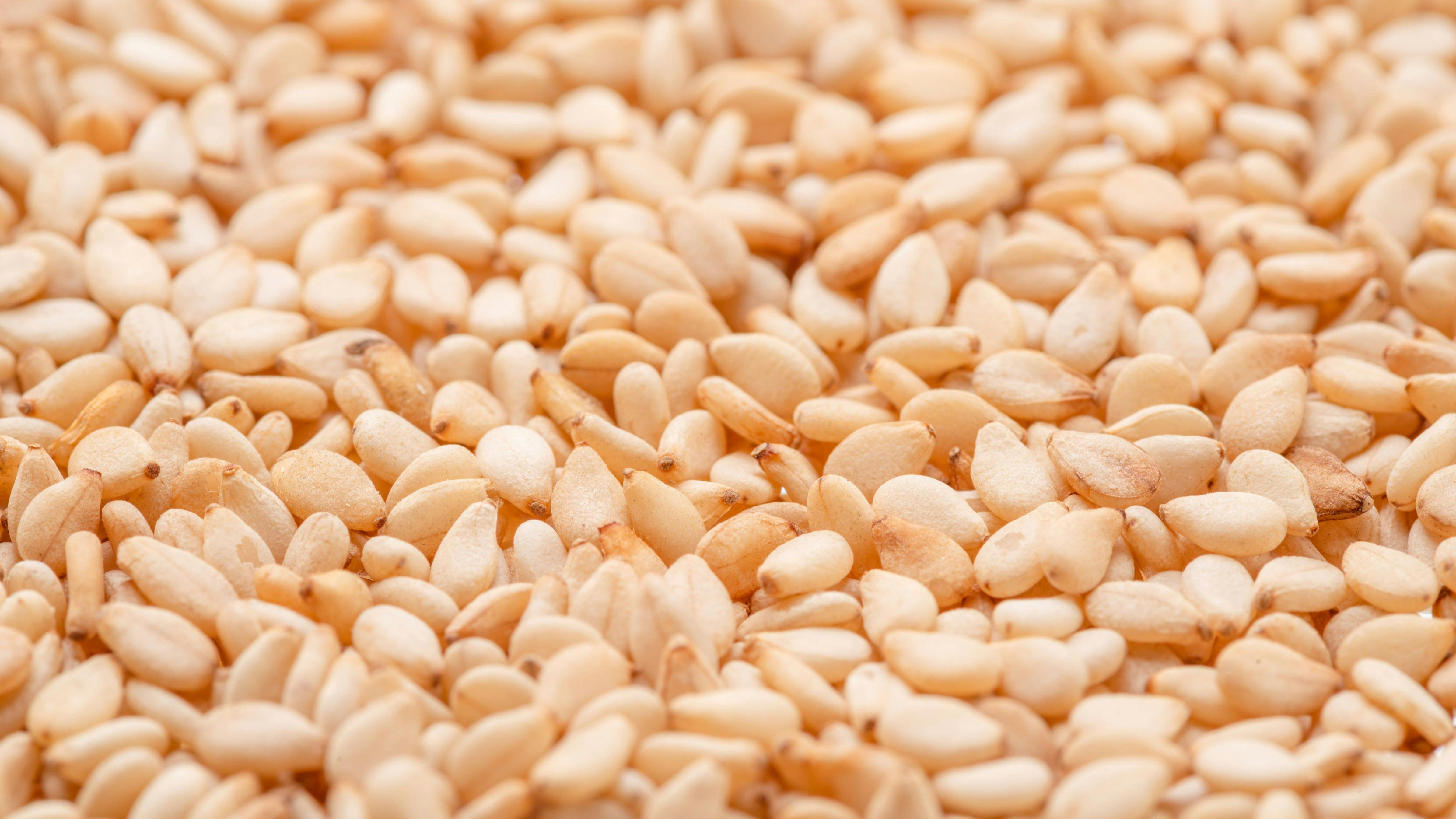 shutterstock_2327648931