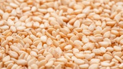 667c50f9f7b60dcd15d344f2 Shutterstock 2327648931 667c50f9f7b60dcd15d344f2 Shutterstock 2327648931