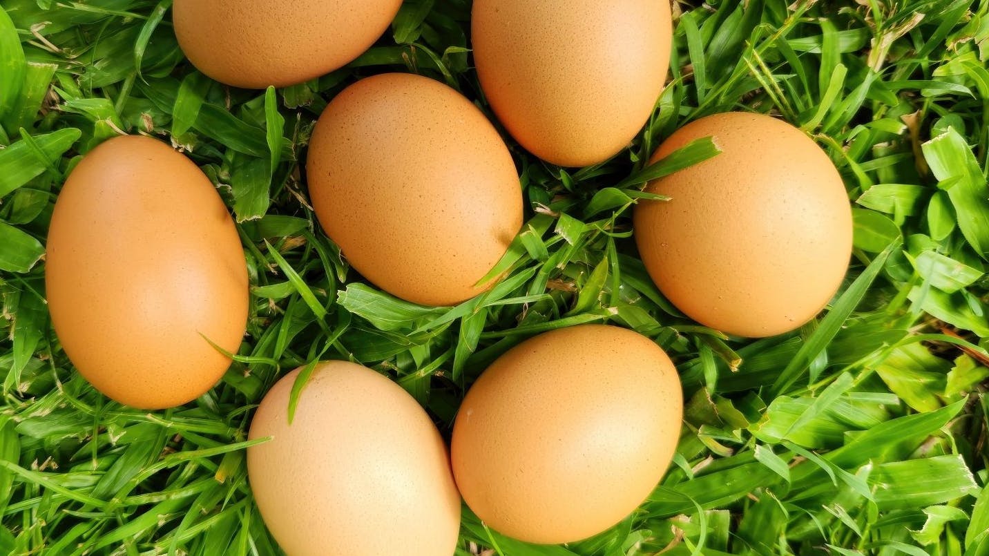 pasture_raised_eggs