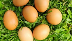 pasture_raised_eggs pasture_raised_eggs