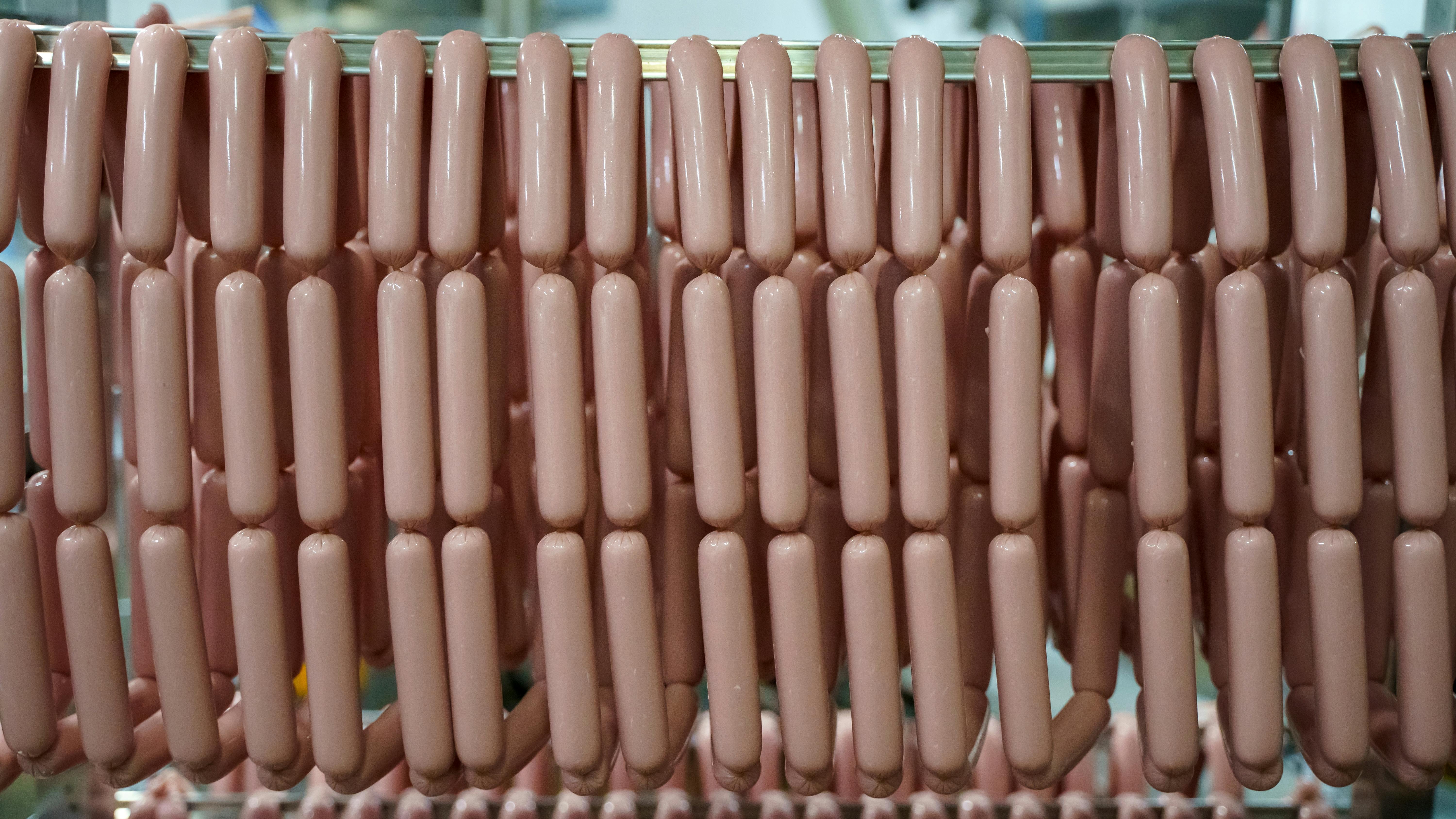 66845b90e6d7cd62991c5d23 Shutterstock 2455173321