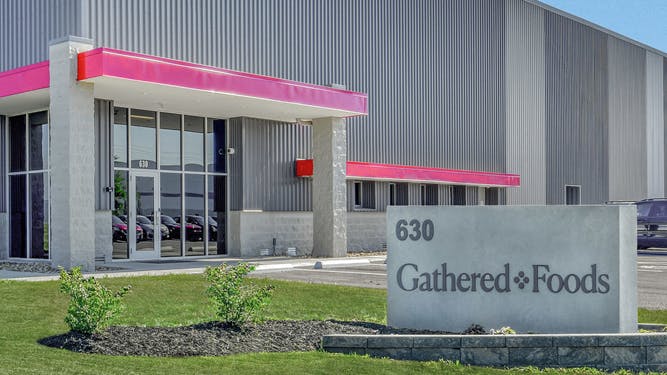 gathered_foods_plant