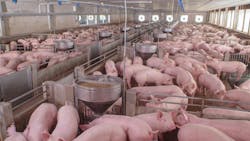 shutterstock_1231609630 shutterstock_1231609630