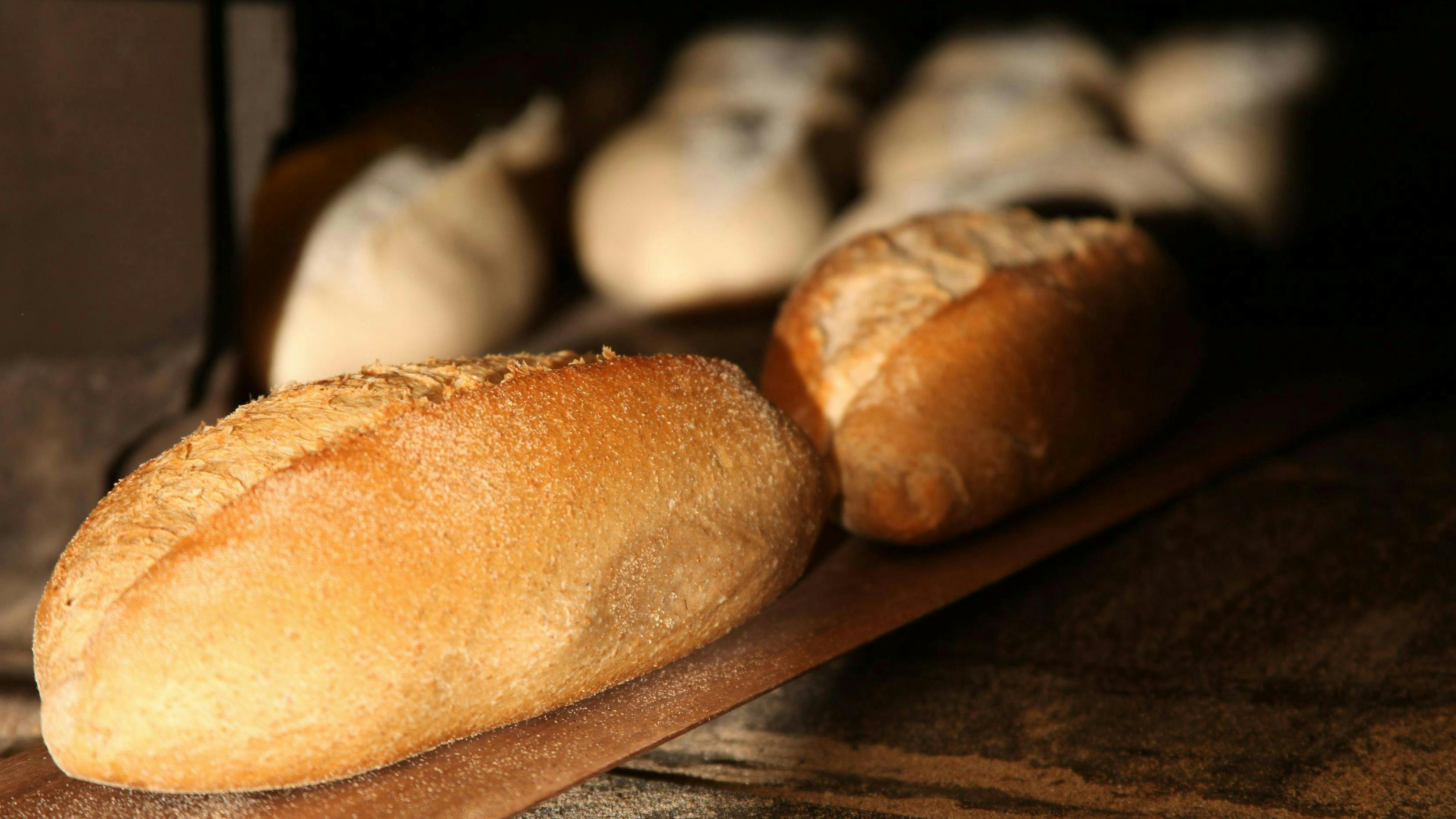 Bread