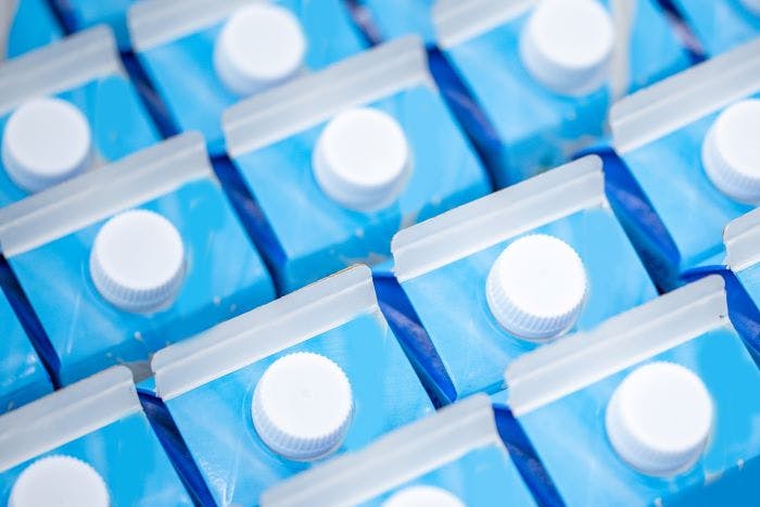 66a12596177c67e398c74e93 Milkcartonsadobestock 383590111