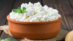 Farmer's Cottage Cheese In A Traditional Clay Bowl, Next To A Wooden Spoon, A Dark Wooden Background Farmer's Cottage Cheese In A Traditional Clay Bowl, Next To A Wooden Spoon, A Dark Wooden Background