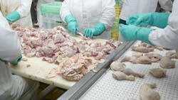 close up of poultry processing in food industry close up of poultry processing in food industry