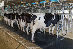 66bfb08ca7f62aaa5ca381fe Cowsdairyadobestock 198065963 66bfb08ca7f62aaa5ca381fe Cowsdairyadobestock 198065963