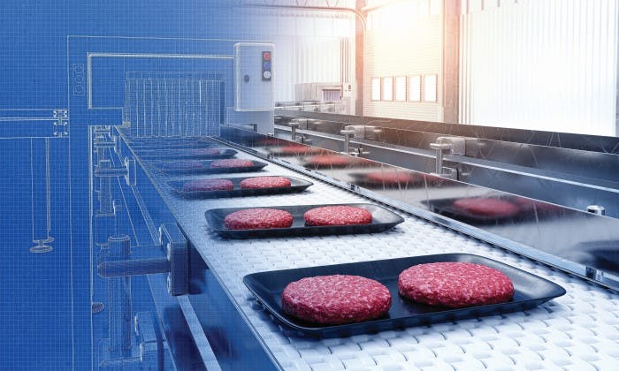 66ce43f91f2eb20cd333eb8b Fp 2409 Plantops Leadimage