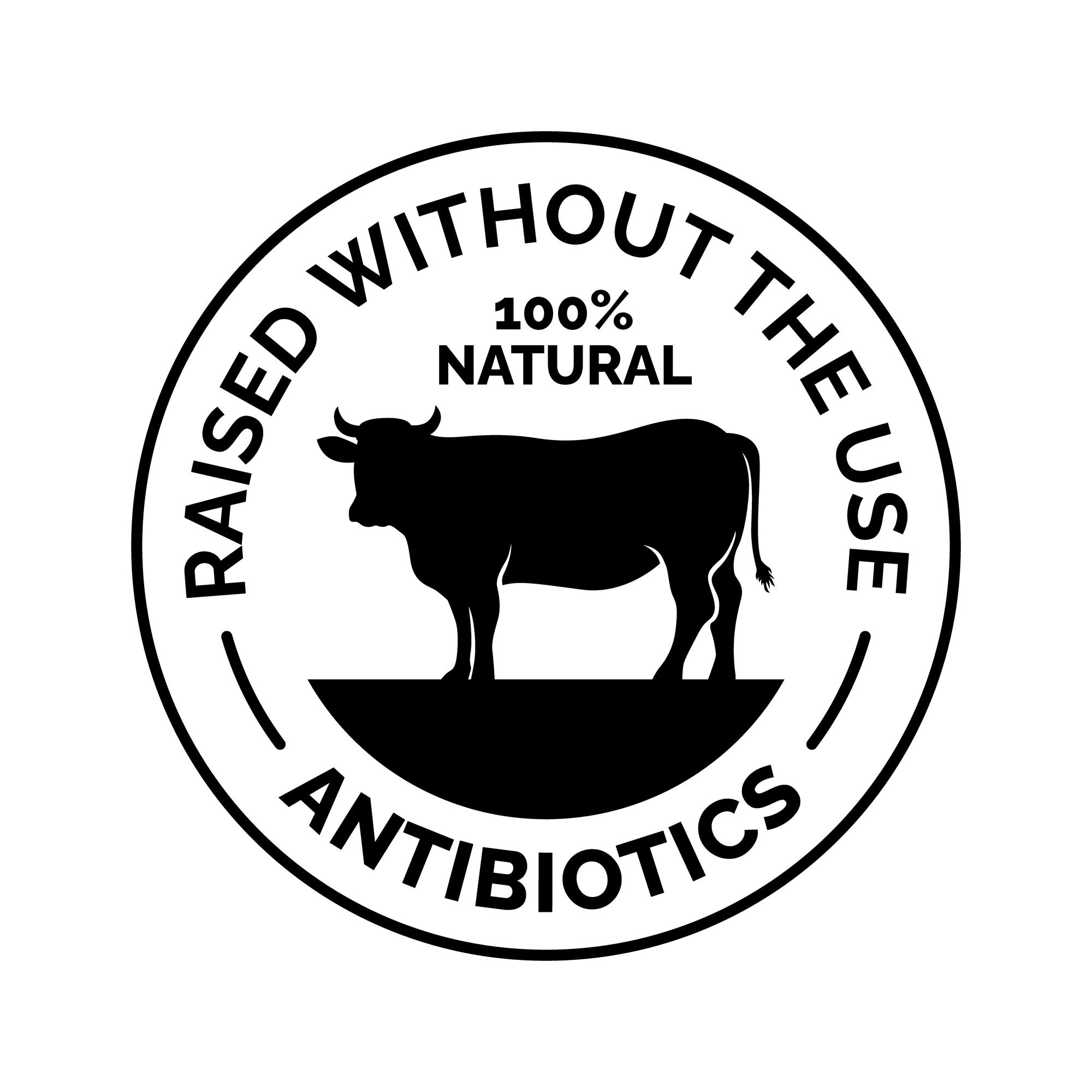 shutterstock_2406118603