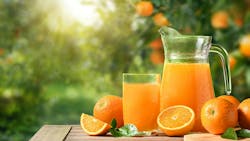 Orange Juice With Fresh Orange Fruits In Orange Farming Background Orange Juice With Fresh Orange Fruits In Orange Farming Background
